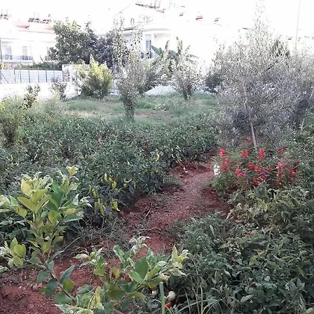 Apartamento Serkan Apart 959